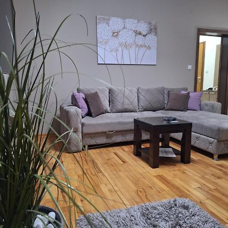 Apartmani Radulovic Vrnjacka Banja Ruang foto