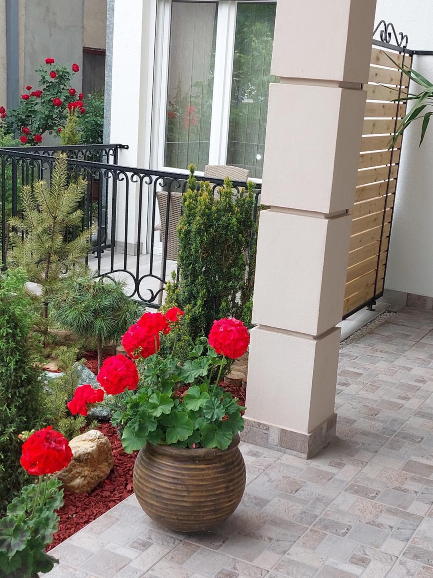 Apartmani Radulovic Vrnjacka Banja Ruang foto