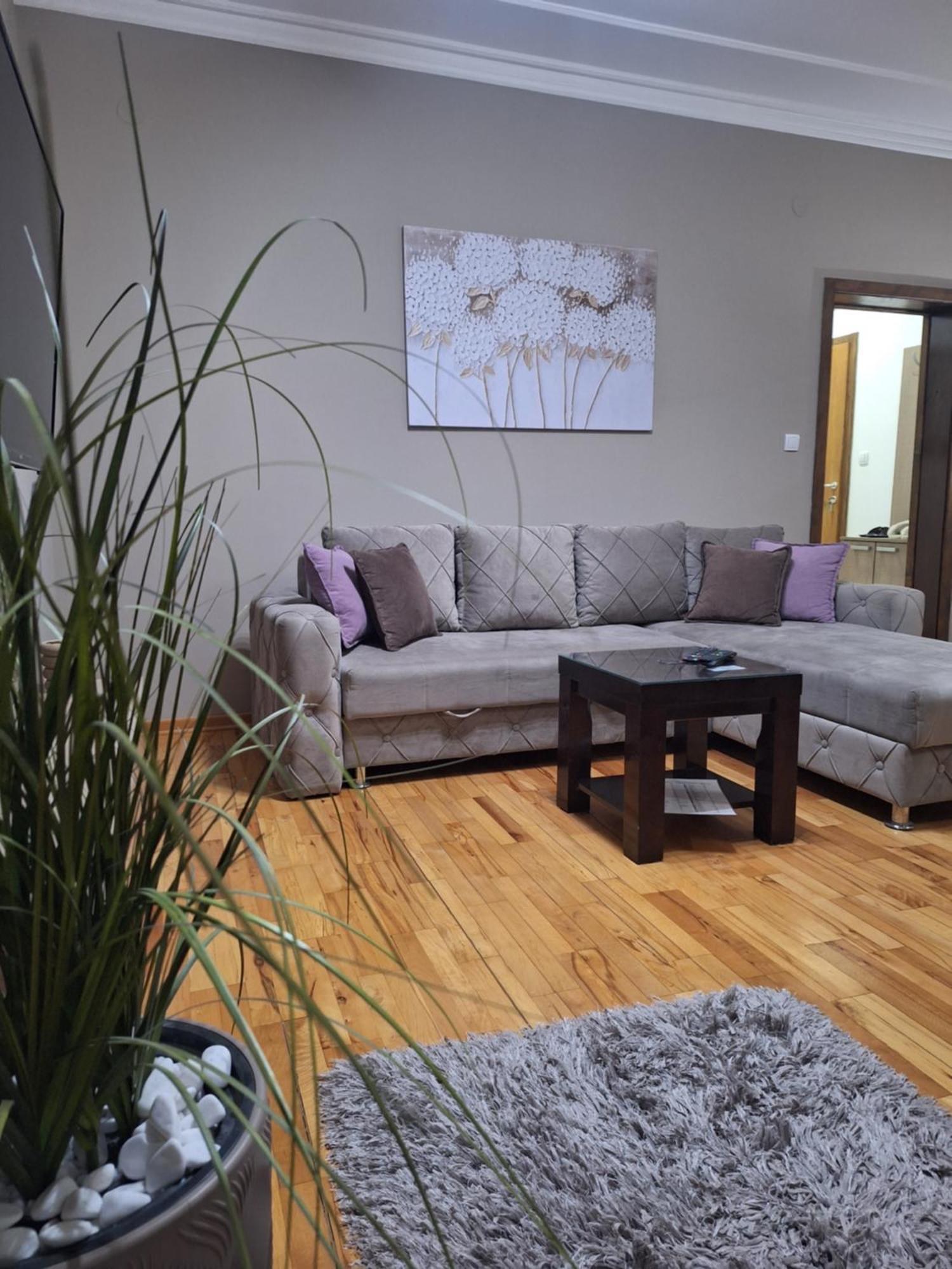Apartmani Radulovic Vrnjacka Banja Ruang foto