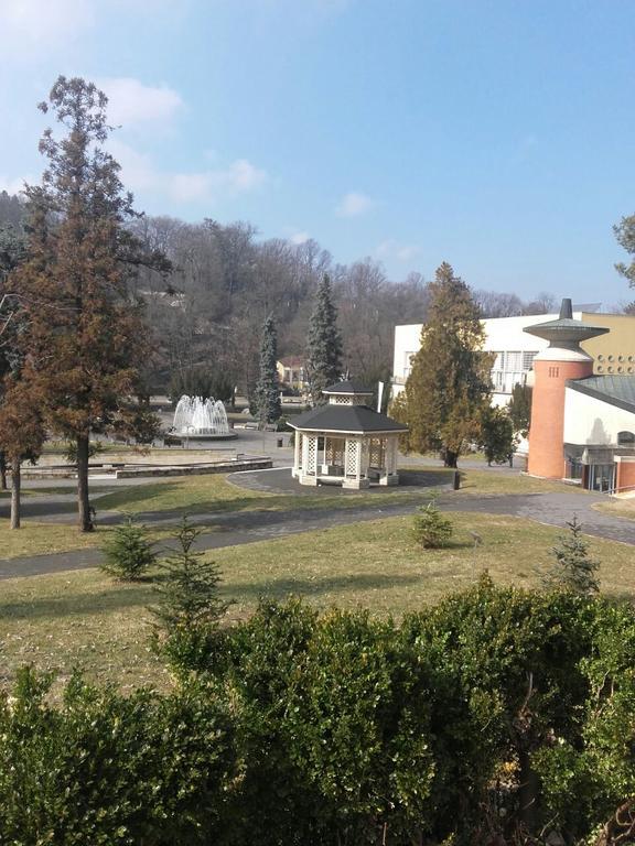 Apartmani Radulovic Vrnjacka Banja Bagian luar foto