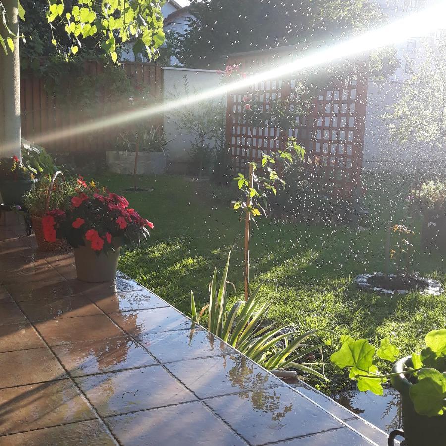 Apartmani Radulovic Vrnjacka Banja Bagian luar foto